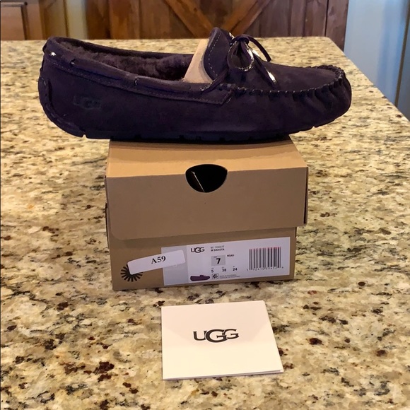 UGG Shoes - UGG Dakota Authentic New in the box